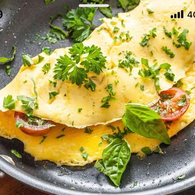 Plain Egg Omelette