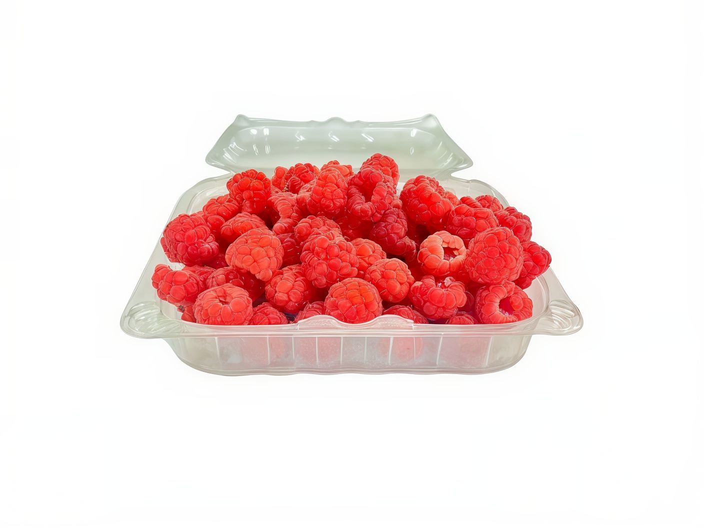 Panet Red Berries