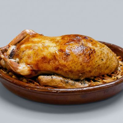 Stuffed pigeon (Single)