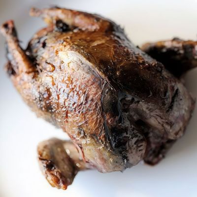 Grilled pigeon (single)