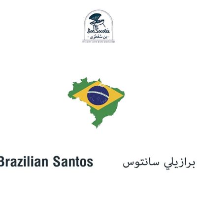 Brazilian Santos Plain