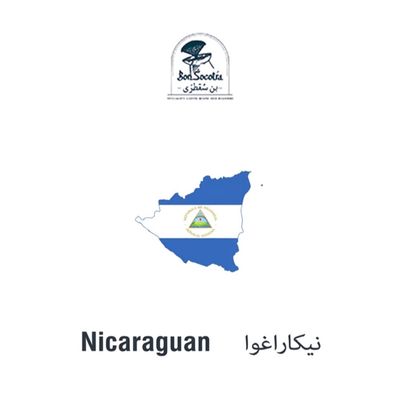 Nicaraguan Coffee