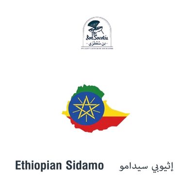 Sidamo Ethiopia Coffee