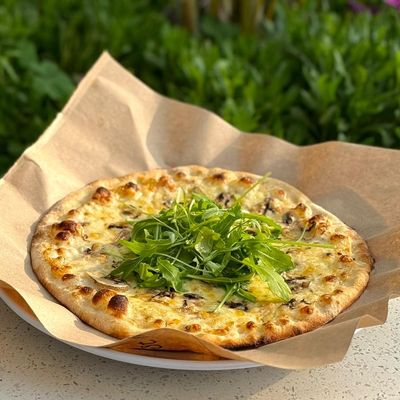 Truffle Mushroom