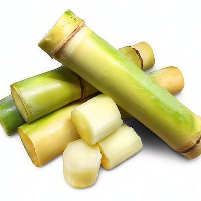 Sugarcane