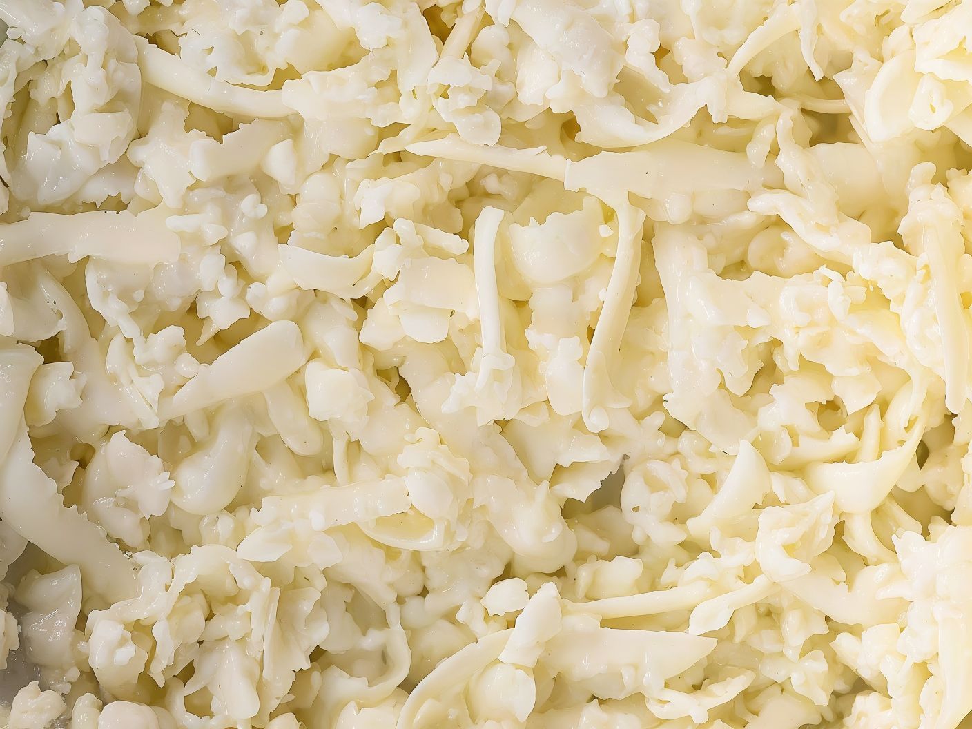 Extra. Add Mozzarella Cheese
