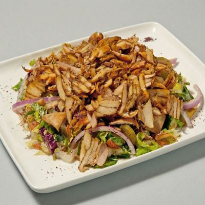 دجاج