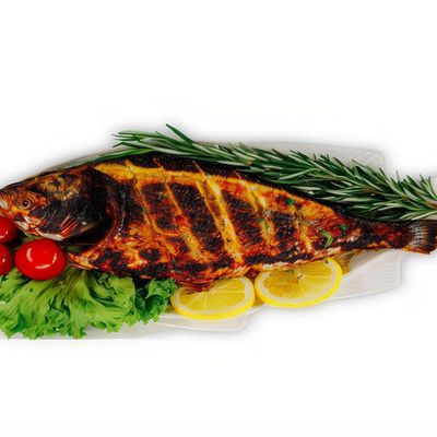 Gilthead Bream Fish