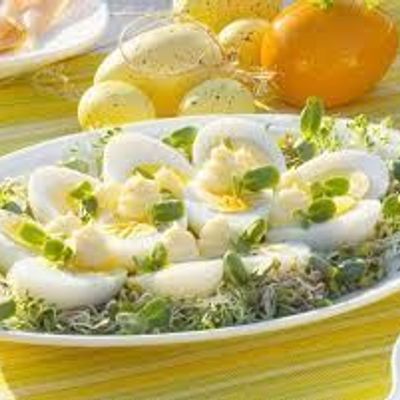 Fried or Boiled Egg Box