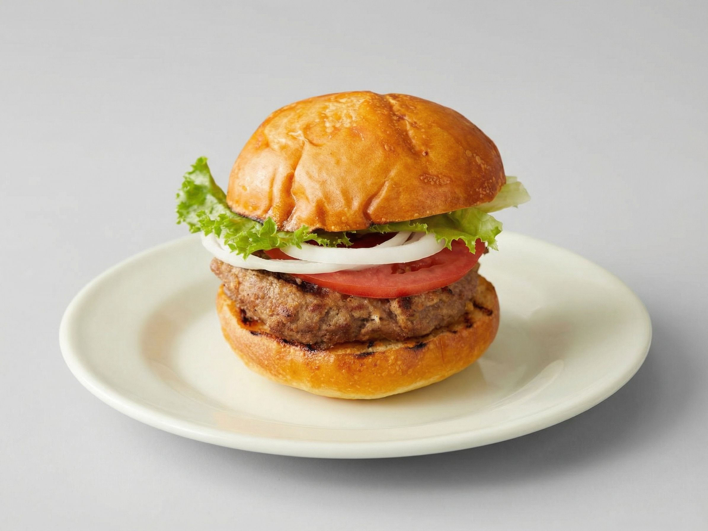 Sandwich Burger with cheese