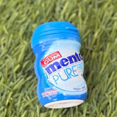 Mentos Mint 17.5g