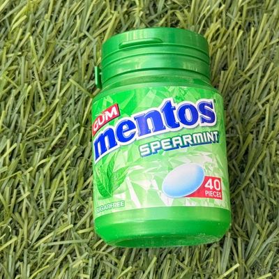 Mentos Spearmint Sugar-Free 56g