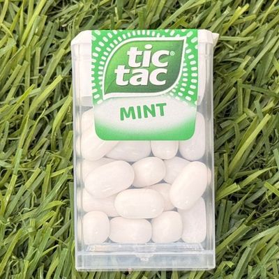Tic Tac Mint Flavor Candy 10.2g