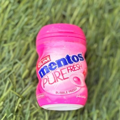 Mentos Fruit & Mint 17.5g