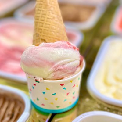 Berry Yogurt Ice Cream
