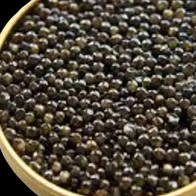 caviar