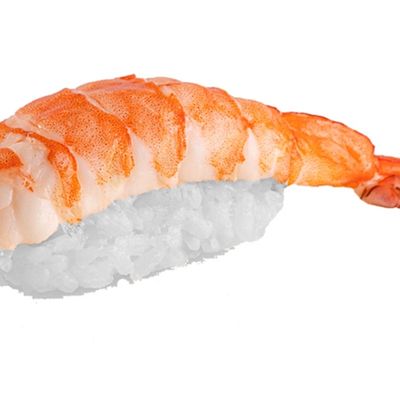 Shrimp Nigiri