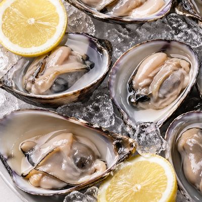 fresh Oysters (commonly referred to as “Umm Al-Khulool” in some Arabic regions)One of the finest seafood are shellfish that live on the seabed and have a hard, oval or round shell. They are considered a popular seafood delicacy in coastal areas.