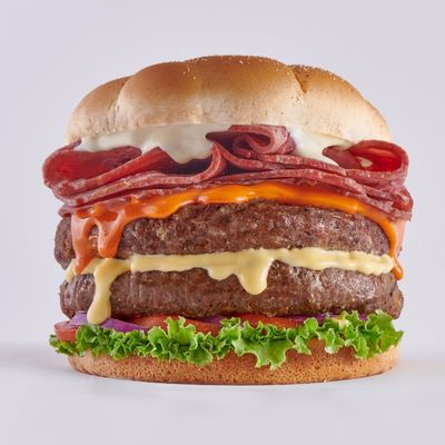 Harmony Burger 300 Gm