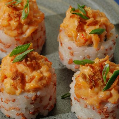 Shrimp Lava