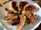 Chicken Dumplings