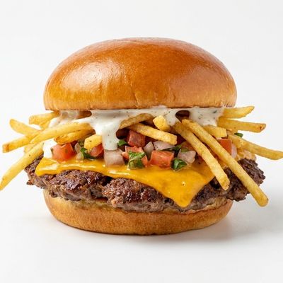 SEVEN SLIDERS photo 12