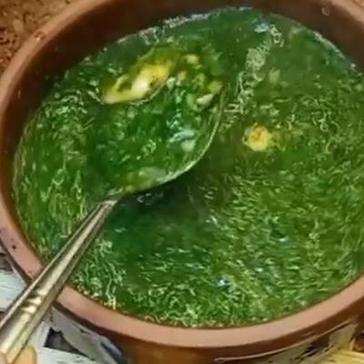 Mulukhiyah with Shrimp