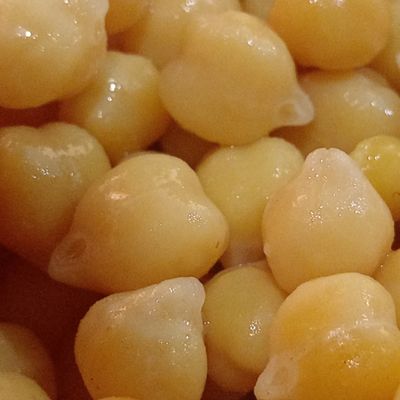 Grilled hummus