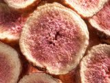 Freeze Dried Fig Slices 45g