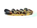 Mussels