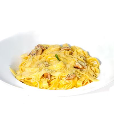 Alfredo