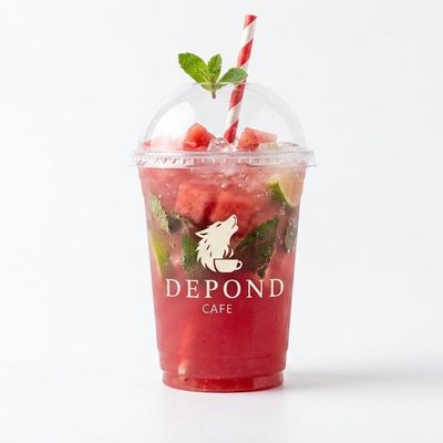 Watermelon Mojito