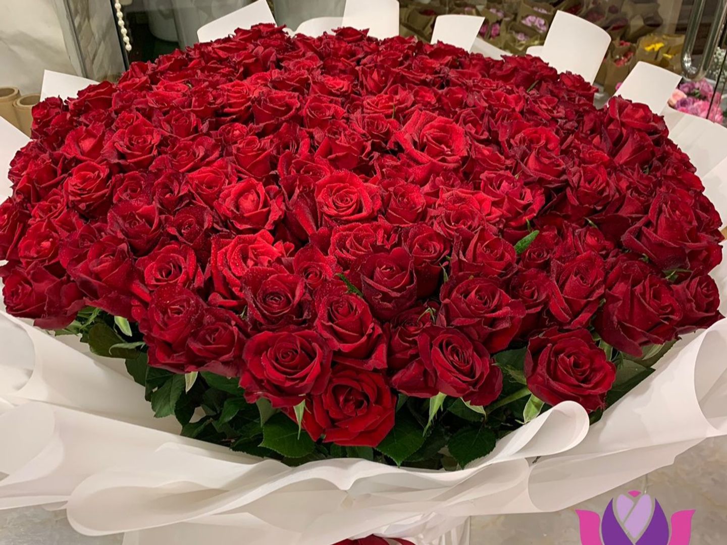 عالم الاحمر