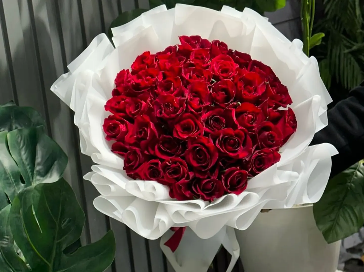 باقه ١٤فبراير