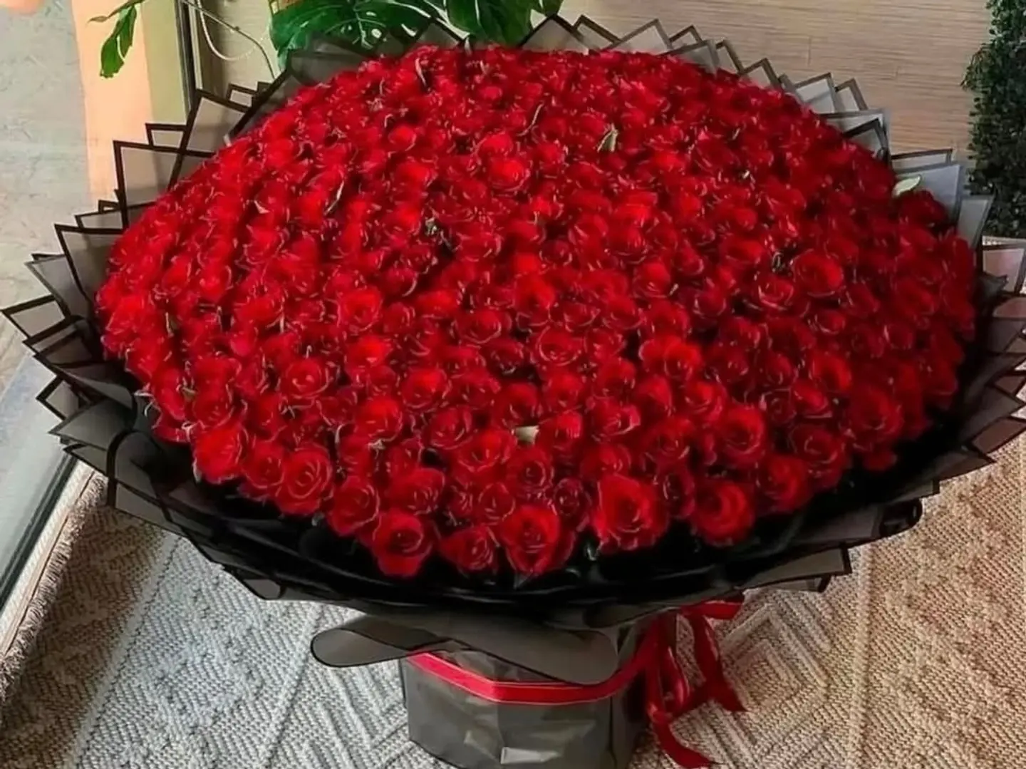 ‏ ‏ ١٤فبراير