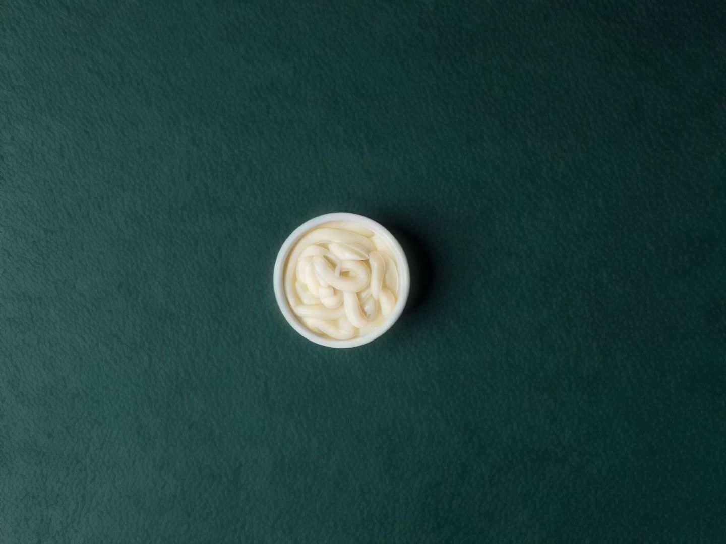 Garlic Sauce