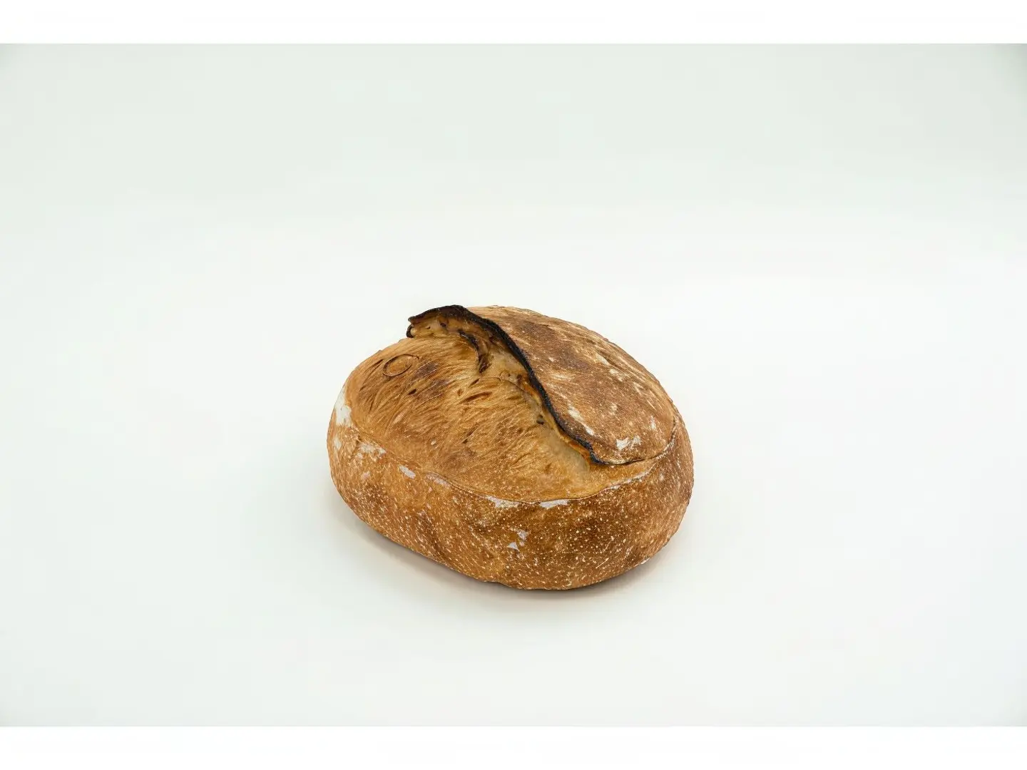 Sourdough