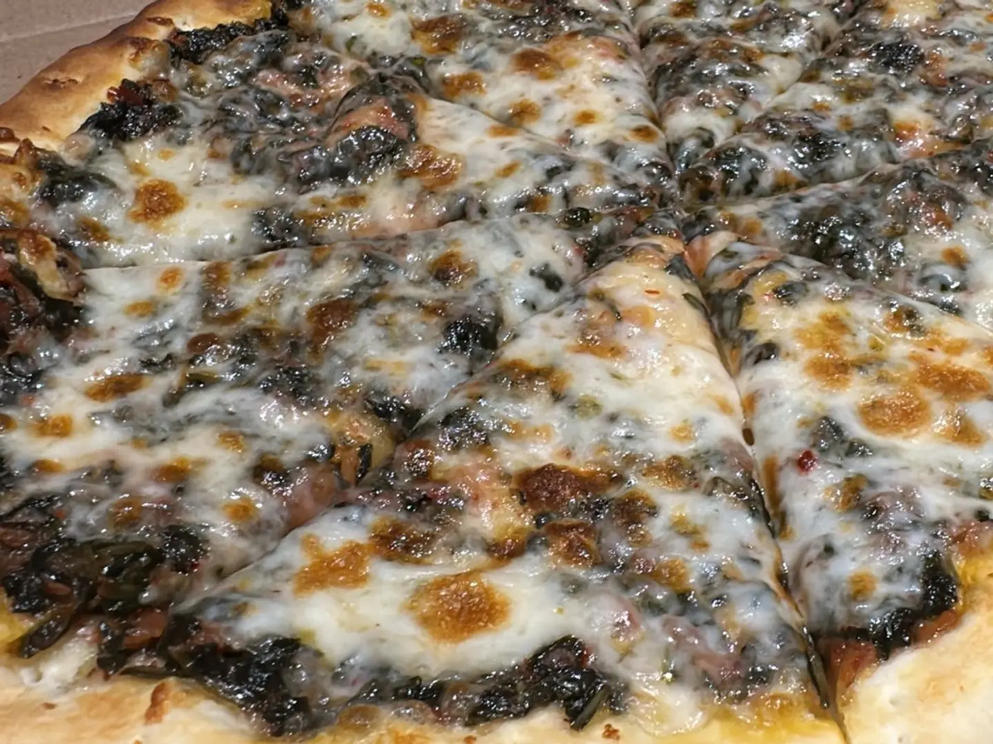 فطيرة سبانخ لبنة