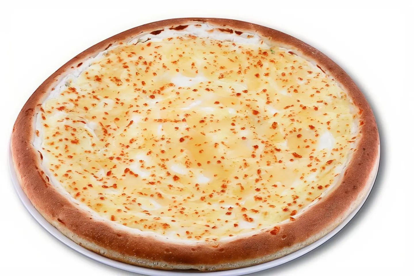 بيتزا عش البلبل