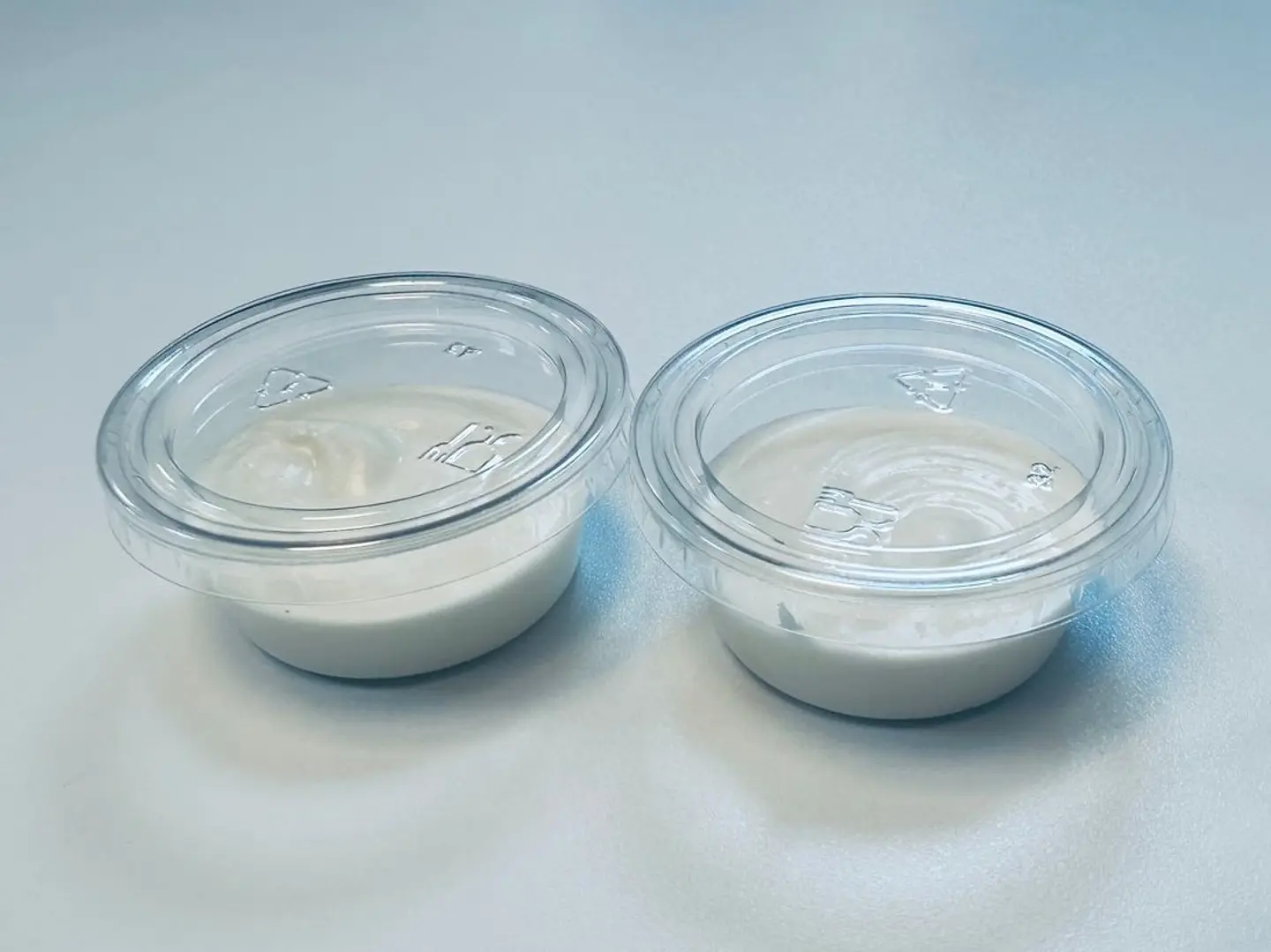 Garlic Sause (Thoom) Regular