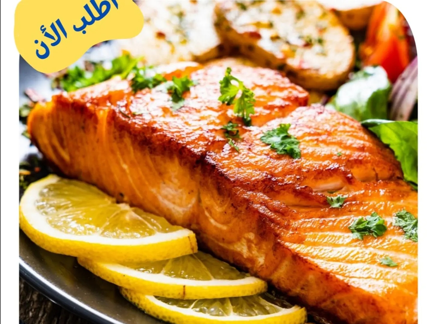Salmon Meal