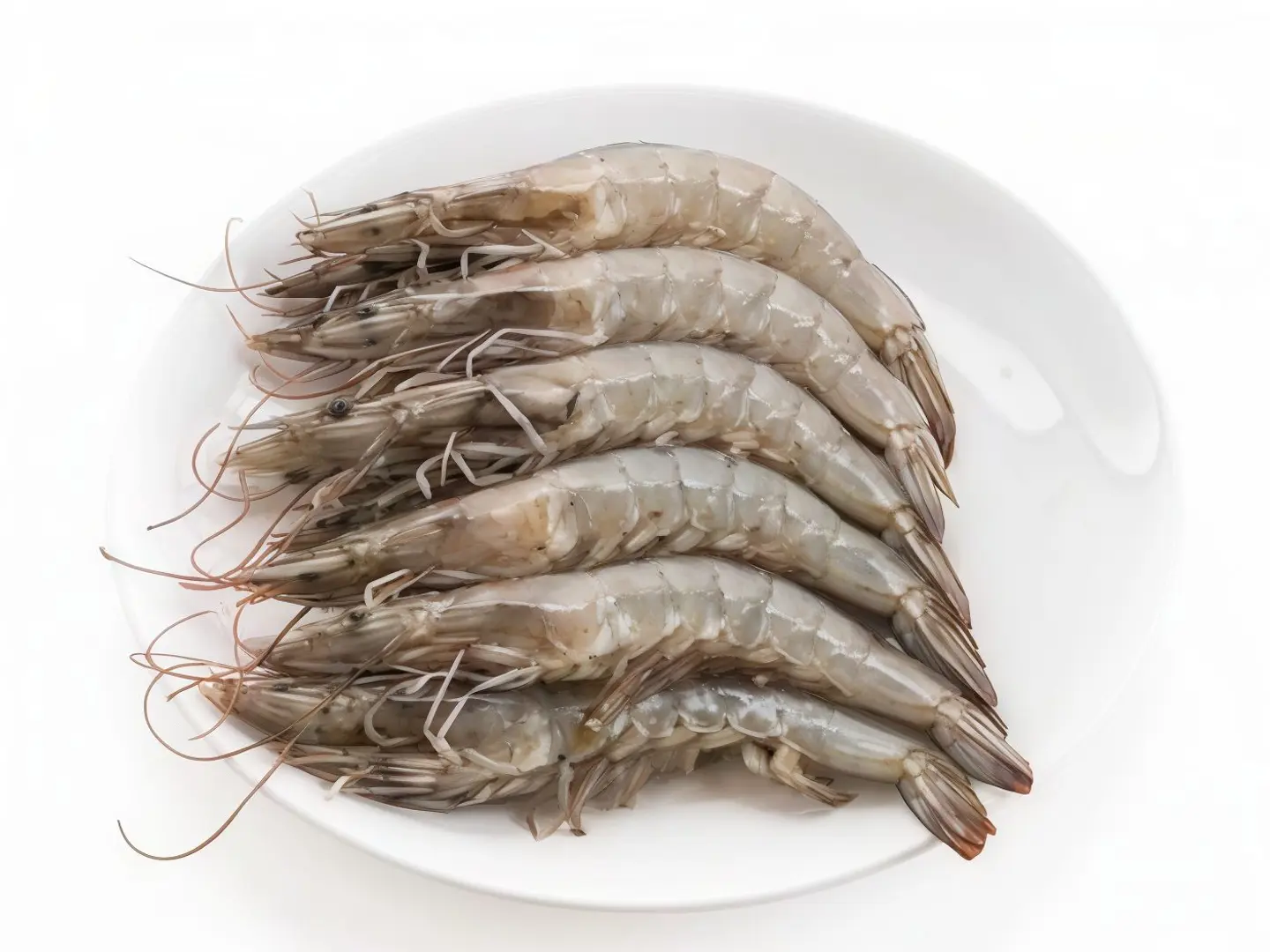 Shrimp - 1 Kg