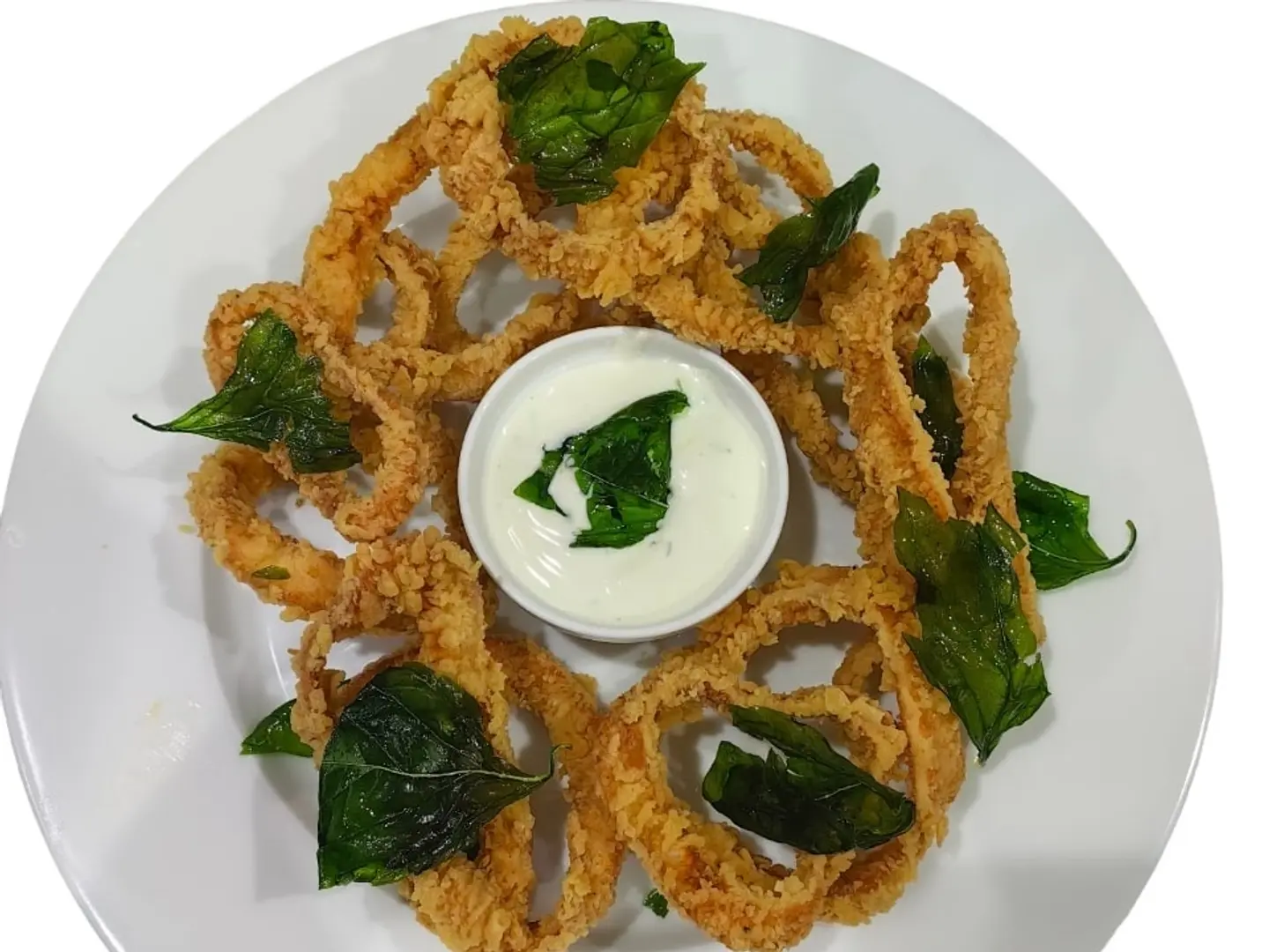 Olio Calamari Fritti