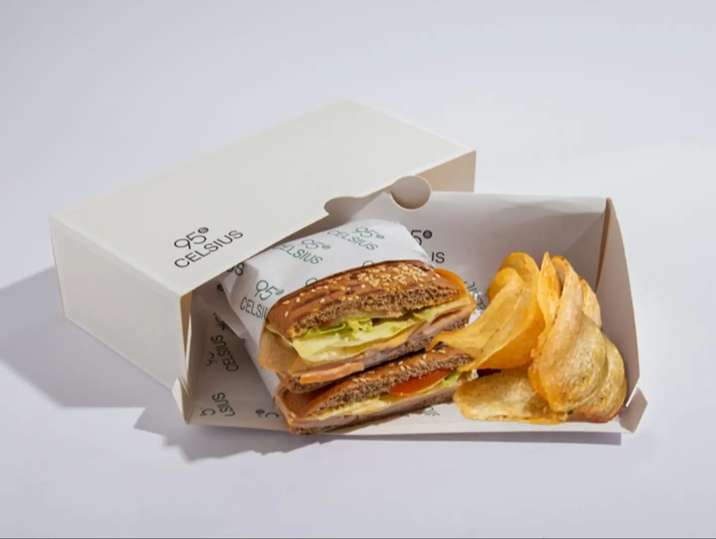 Turkey And Cheese Panini