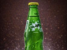 حمضيات