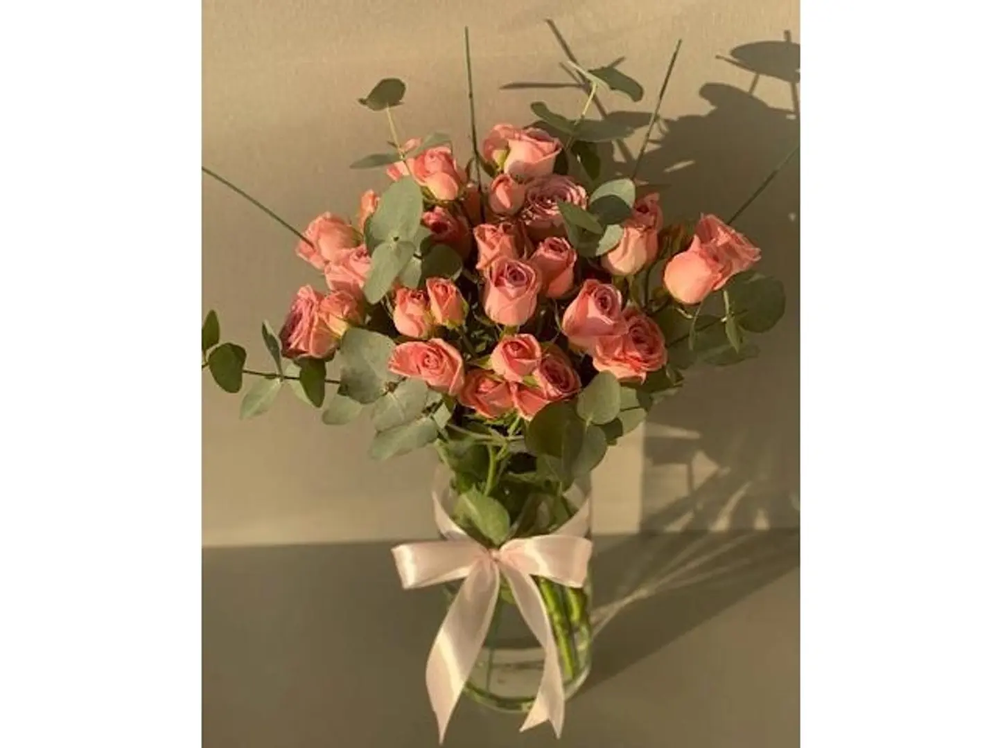 فازة داي لايت