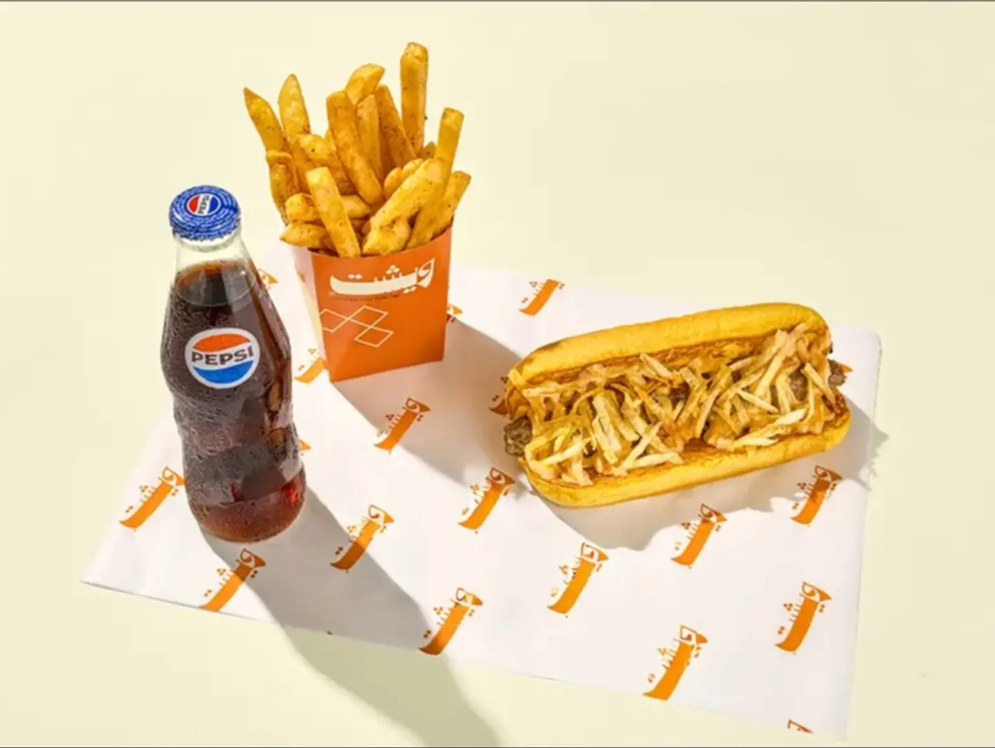 Special Meat Kebab Combo