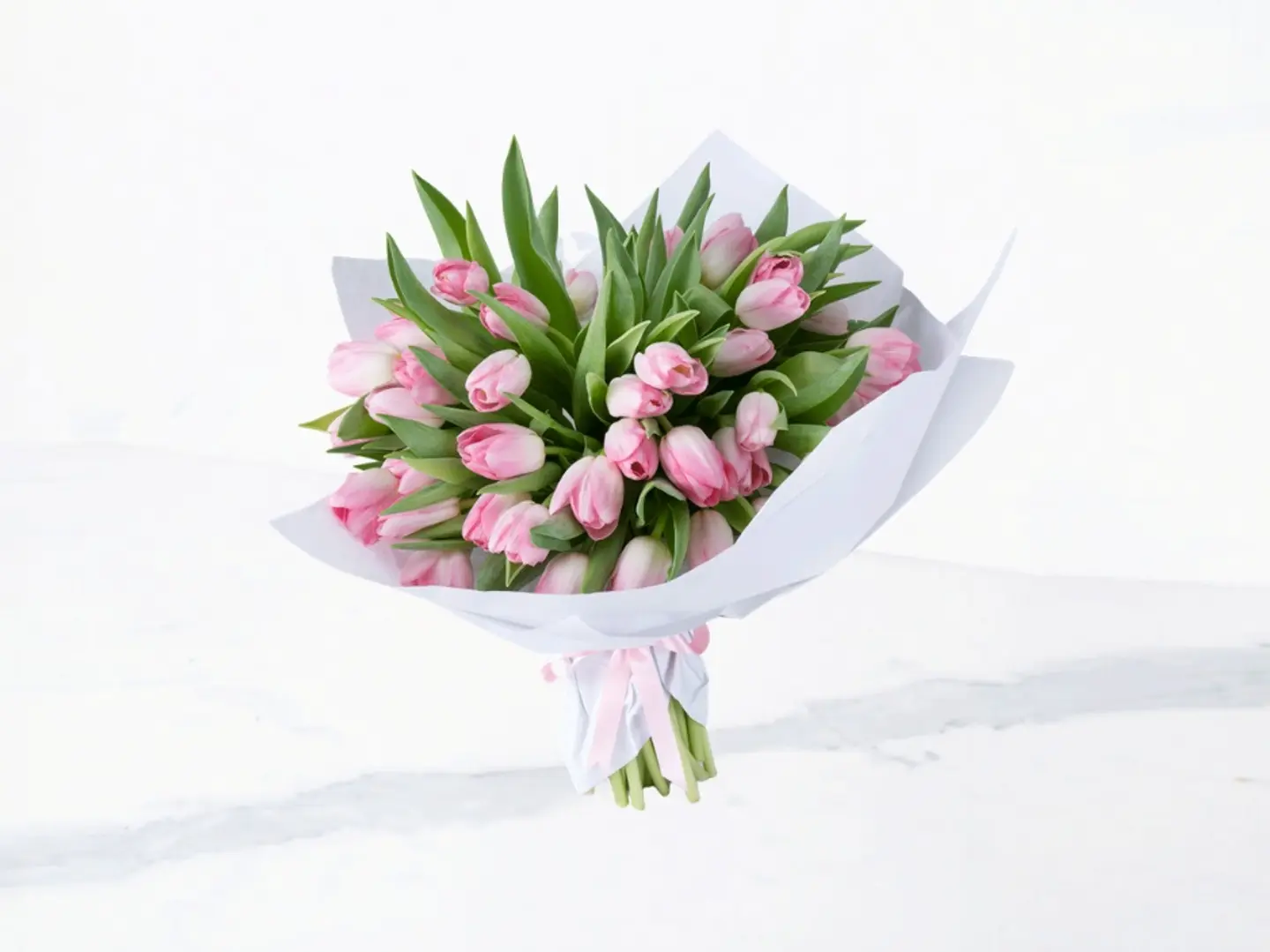 Tulip Romance