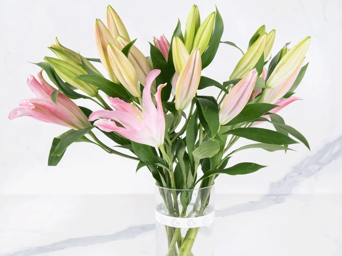Fresh 7 Pink Lilies