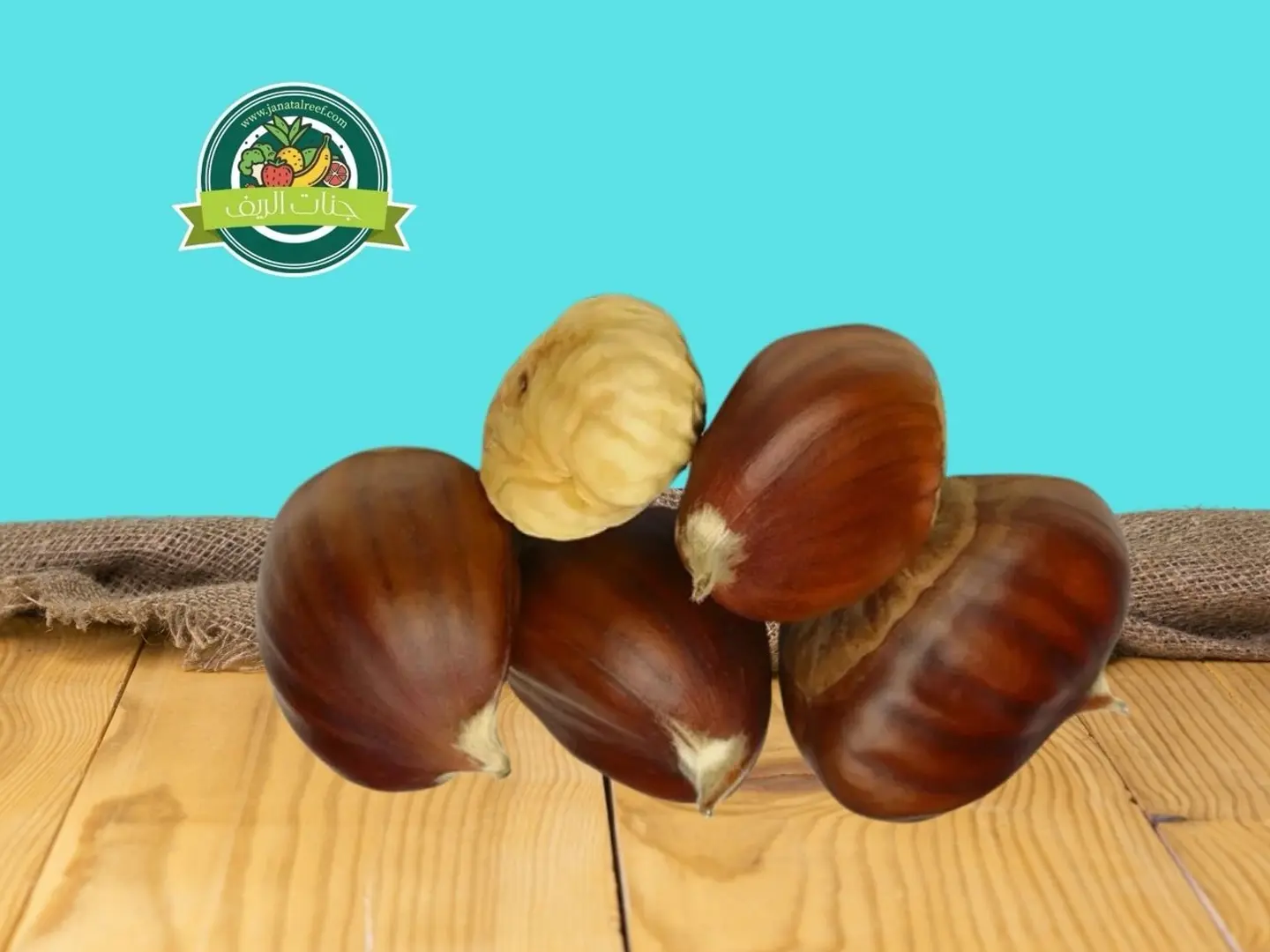 كستناء تركي - كيلو